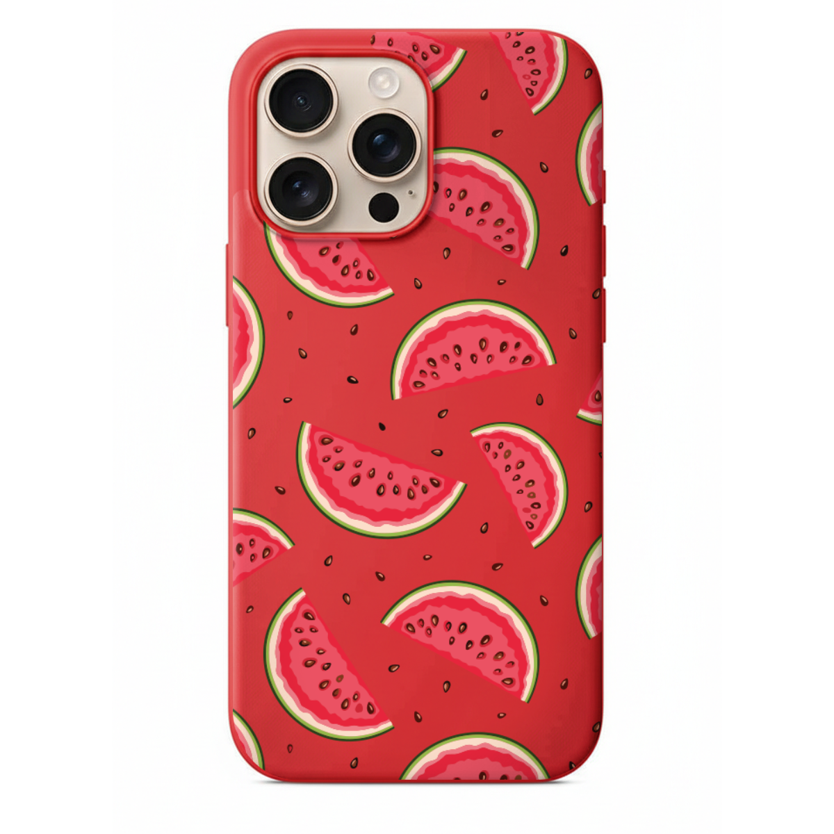 Karpuz Desenli Yaz Temalı Telefon Kılıfı (WV101)