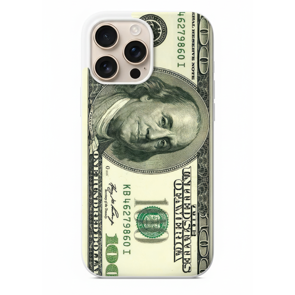 Vintage Pop Serisi İkonik 100 Dolar Telefon Kılıfı (SV12)
